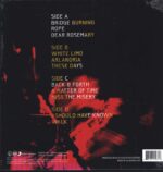 Foo Fighters-Wasting Light-LP (Vinyl)-02