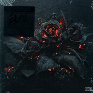 Future-EVOL-12 Maxi Single (Vinyl)