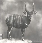 Gary Howell-Housebound Demigod-LP (Vinyl)-02