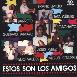 Grupo Instrumental Los Amigos-Estos Son Los Amigos-LP (Vinyl)-01