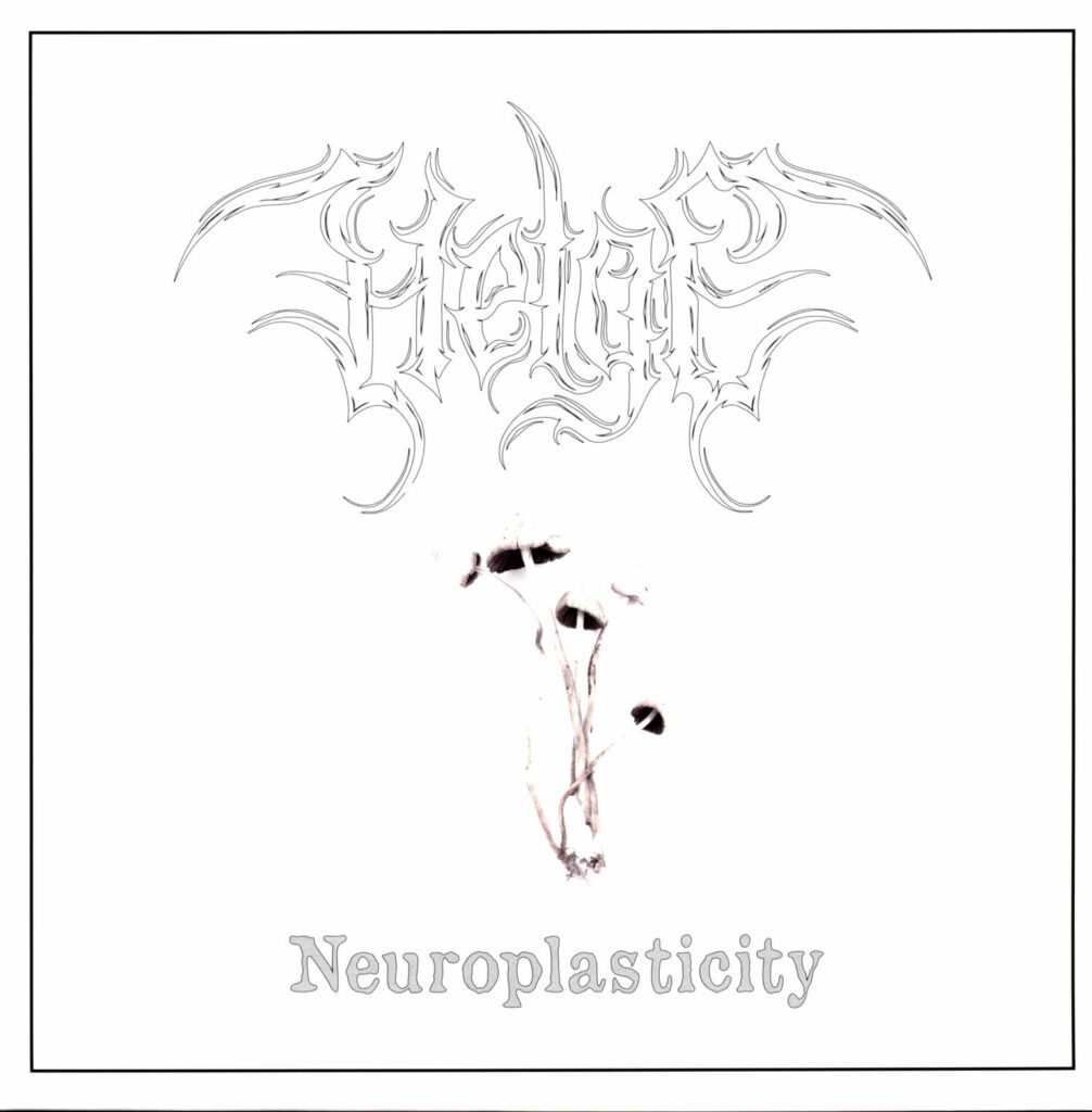 Helge-Neuroplasticity-LP (Vinyl)-01
