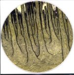 Isis-Wavering Radiant-LP (Vinyl)-03