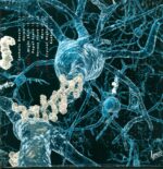 J.G. Thirlwell-Oscillospira-LP (Vinyl)-02