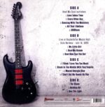 Jeff Healey-Holding On-LP (Vinyl)-02