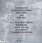 Jimmy Eat World-Surviving-LP (Vinyl)-02