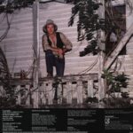 Joe Sun-The Best Of Joe Sun-LP (Vinyl)-02