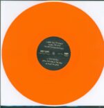 Joey Cape-A Good Year To Forget-LP (Vinyl)-03