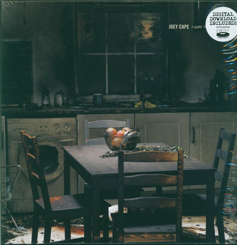 Joey Cape-A Good Year To Forget-LP (Vinyl)-01