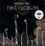 Kikagaku Moyo-Forest Of Lost Children-LP (Vinyl)-01