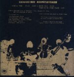 Kikagaku Moyo-Mammatus Clouds-LP (Vinyl)-02