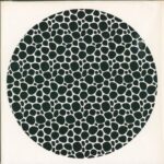 Knowsum-Sichtexotica I-10" Vinyl-01