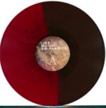 Like Moths To Flames-The Dying Things We Live For-LP (Vinyl)-03
