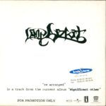 Limp Bizkit-Re-arranged-CD Single-02