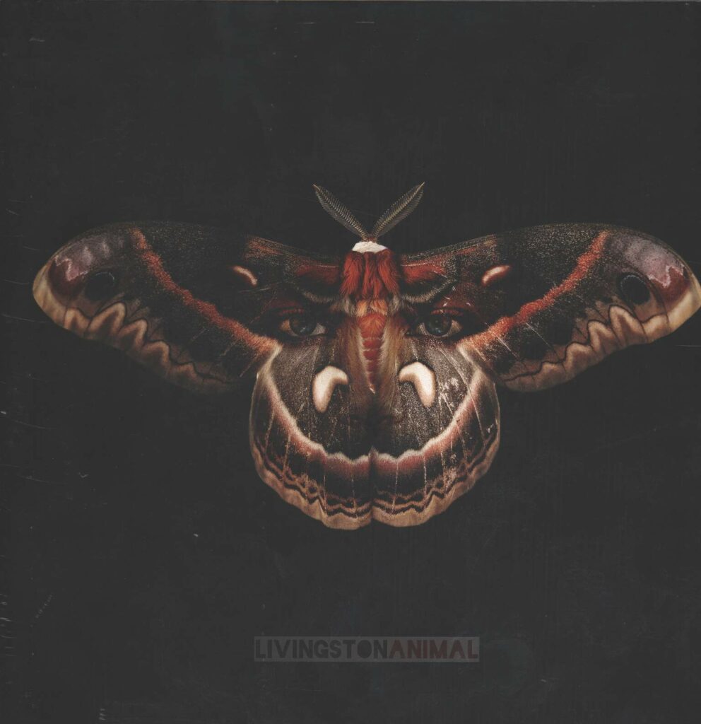 Livingston-Animal-LP (Vinyl)-01