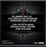 Lynyrd Skynyrd-God & Guns-LP (Vinyl)-02