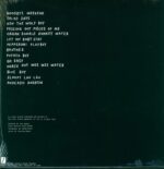 Mac DeMarco-Salad Days Demos-LP (Vinyl)-02