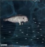 Melvins-(A) Senile Animal-LP (Vinyl)-02