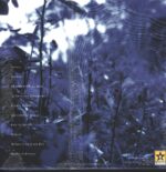 Morning Again-As Tradition Dies Slowly-LP (Vinyl)-02