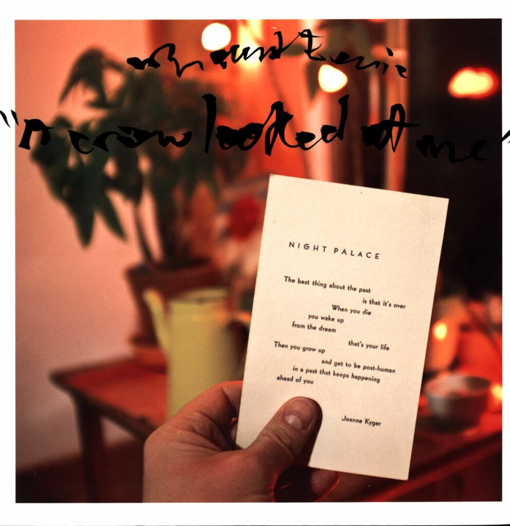 Mount Eerie-A Crow Looked At Me-LP (Vinyl)-01