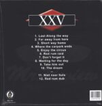 Mr Review-XXV-LP (Vinyl)-02