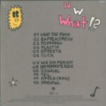 Nepumuk-What The Funk-10" Vinyl-02