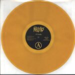 Nihilistics-Fuck The Human Race-LP (Vinyl)-03