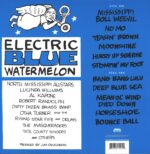 North Mississippi Allstars-Electric Blue Watermelon-LP (Vinyl)-02
