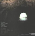 Painted Palms-Forever-LP (Vinyl)-02