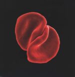 Peter Gabriel-Scratch My Back-LP (Vinyl)-01