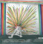 Pond-Hobo Rocket-LP (Vinyl)-02