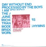 Protomartyr-Ultimate Success Today-LP (Vinyl)-02