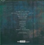 Ryan Adams-Wednesdays-LP (Vinyl)-02