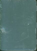 Scar Symmetry-Holographic Universe-CD-02