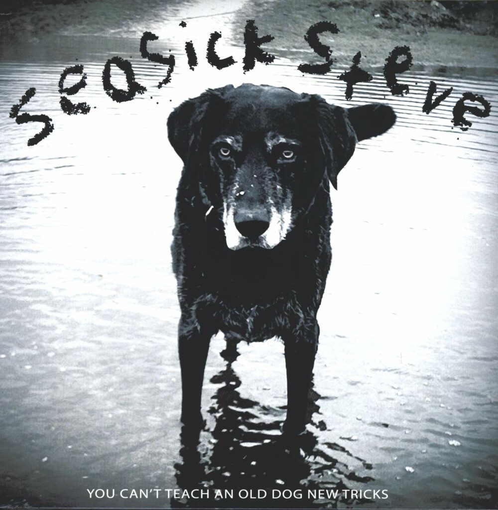 Seasick Steve-You Can't Teach An Old Dog New Tricks-LP (Vinyl)-01