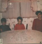 Sebadoh-Bakesale-LP (Vinyl)-02