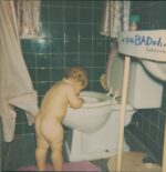 Sebadoh-Bakesale-LP (Vinyl)-01