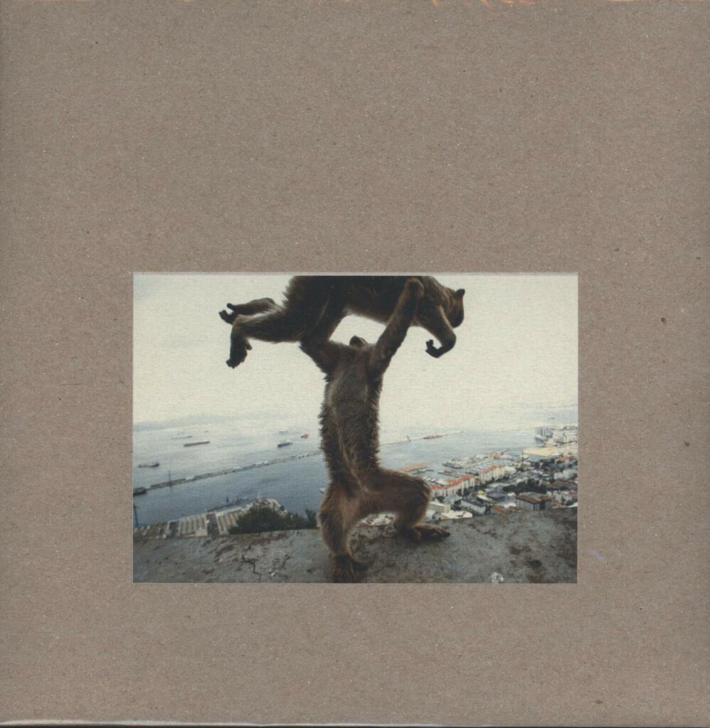 Shellac-Dude Incredible-LP (Vinyl)-01