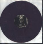 Skin Like Iron-Descent Into Light-12" Maxi Single (Vinyl)-03