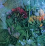 Sky Saxon-A Groovy Thing-LP (Vinyl)-02