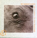 Sky Saxon-Masters Of Psychedelia-LP (Vinyl)-01