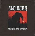 Slo Burn-Amusing The Amazing-10" Vinyl-01
