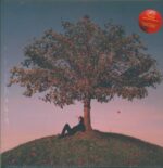 Slowthai-TYRON-LP (Vinyl)-01