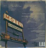 Son Volt-Notes Of Blue-LP (Vinyl)-02