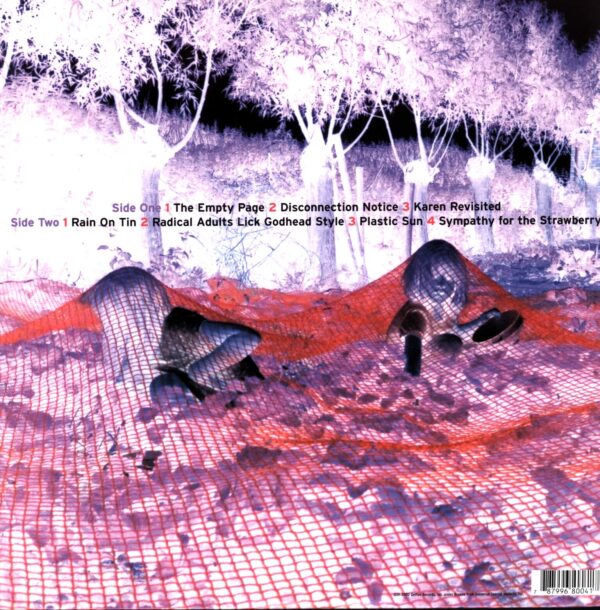 Sonic Youth-Murray Street-LP (Vinyl)-02