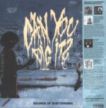 Sons Of Cyrus-Can You Dig It?-LP (Vinyl)-02