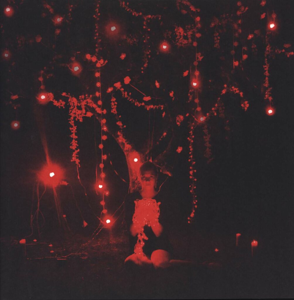 Sophie Hunger-The Danger Of Light-LP (Vinyl)-01