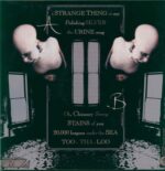 Sopor Aeternus & the Ensemble Of Shadows-A Strange Thing 2 Say-12" Maxi Single (Vinyl)-02