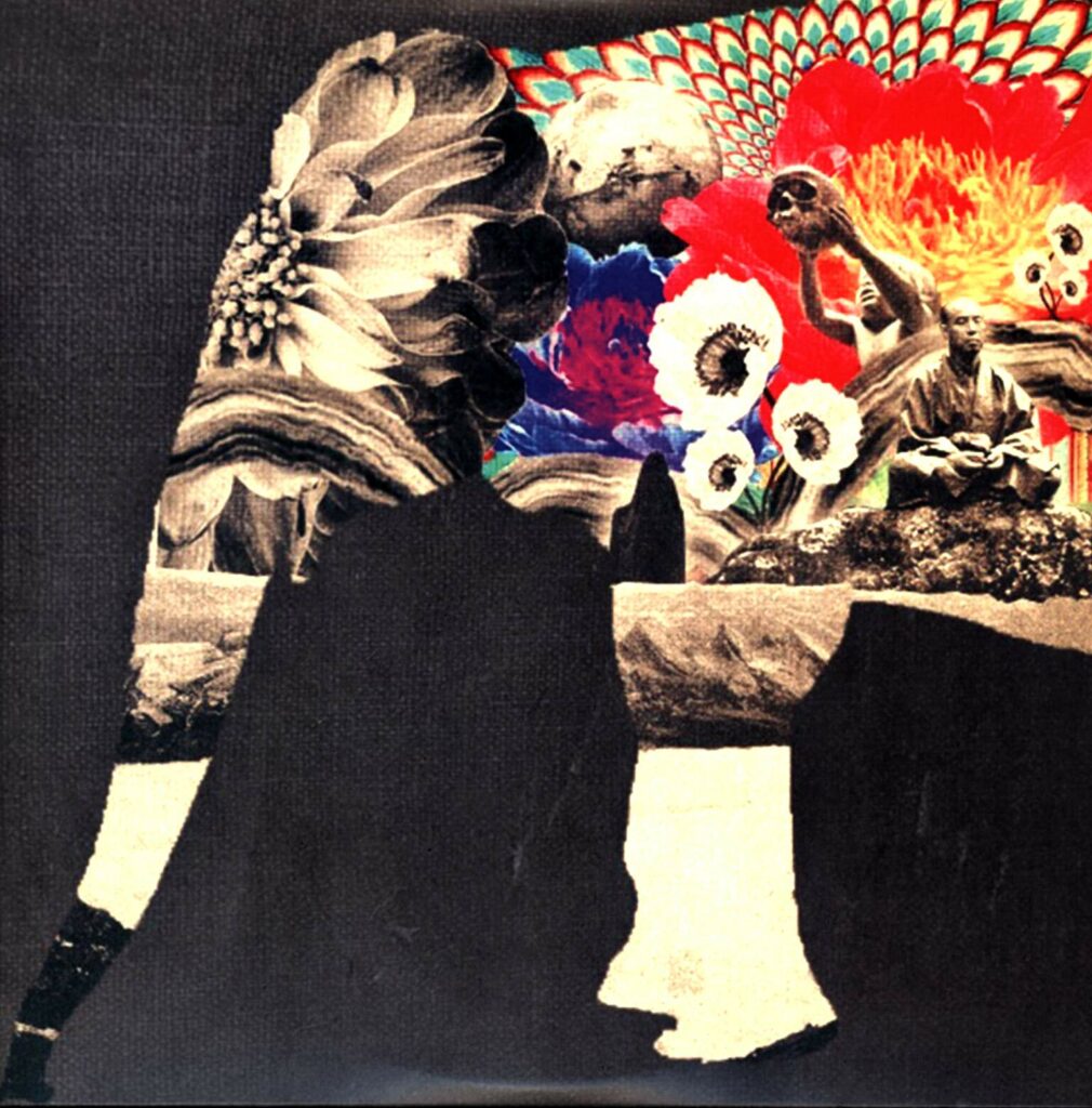 Spiral Shades-Hypnosis Sessions-LP (Vinyl)-01