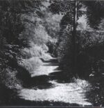 Ssaliva-We Never Happened-LP (Vinyl)-01