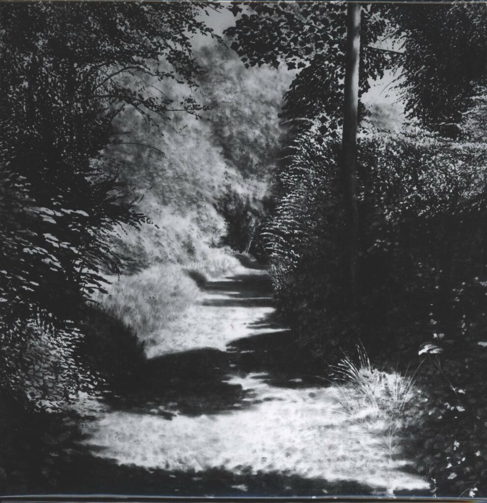 Ssaliva-We Never Happened-LP (Vinyl)-01